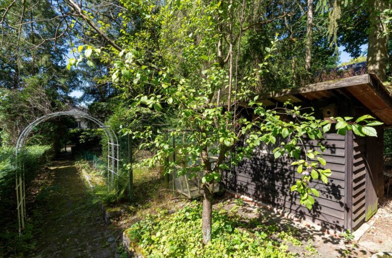 6067778_51943870.jpg
