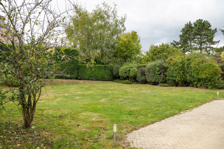 7146857_72652149.jpg