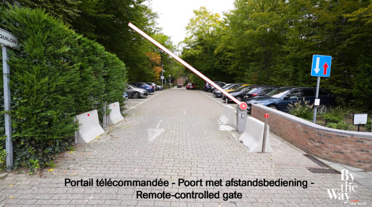 7658992_77006184.jpg