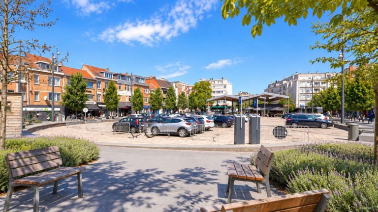 7879289_80839330.jpg